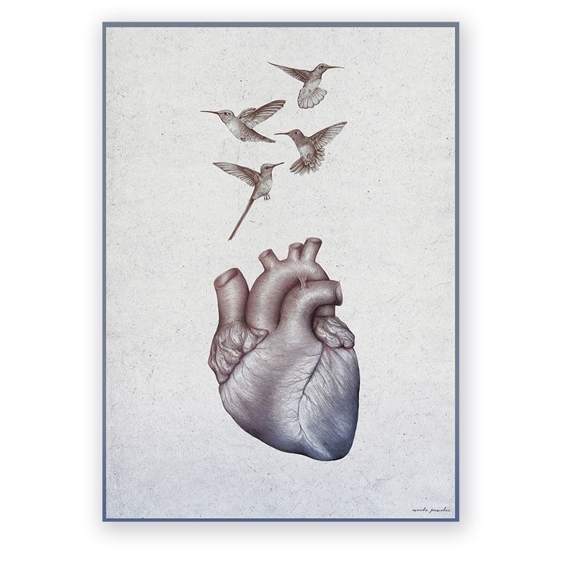 Plakat Anatomiczny - Serce i Kolibry