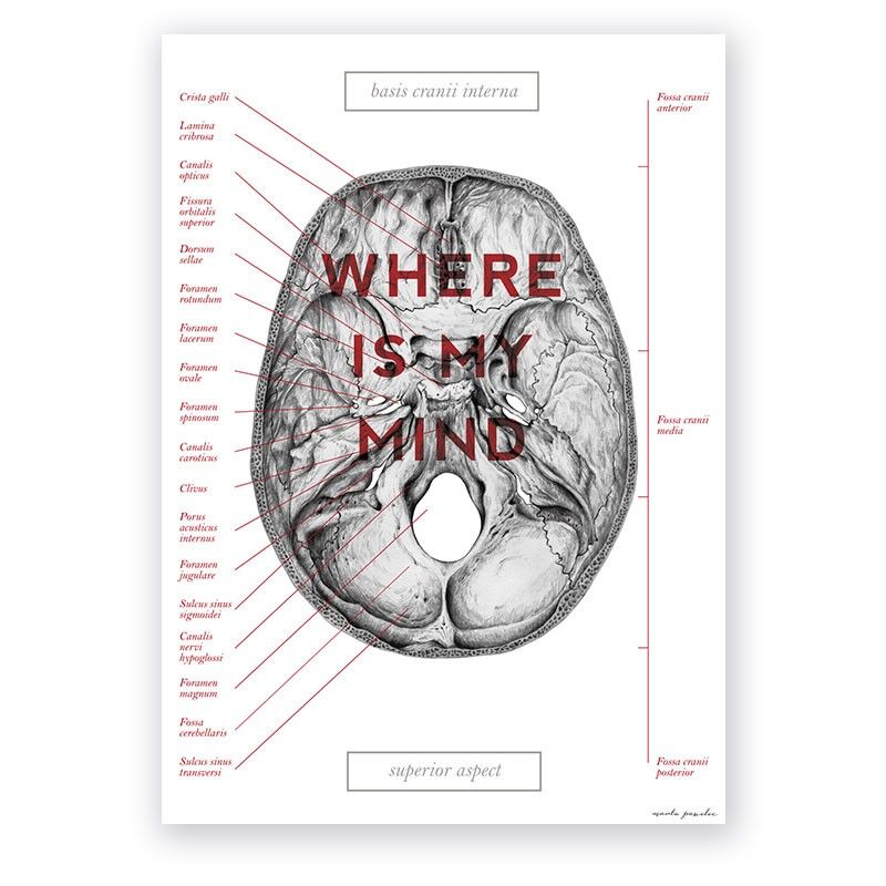 Plakat Anatomiczny - Podstawa Czaszki - Where Is My Mind