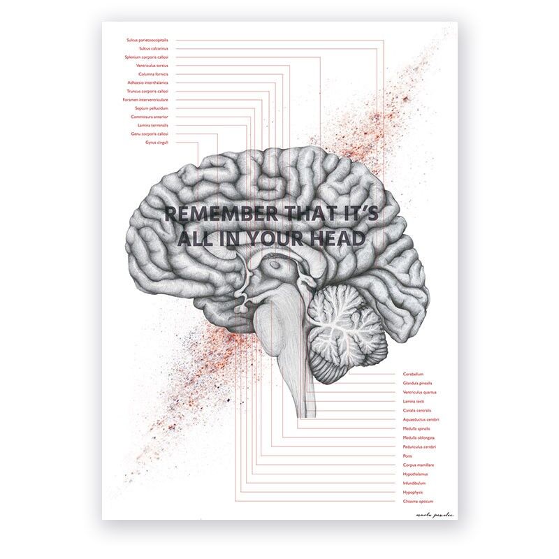 Plakat Anatomiczny - Przekrój Mózgu - Where Is My Mind