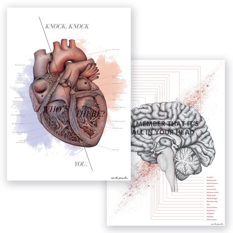 dwa plakaty anatomiczne zawierające aktualną wiedzę o budowie tych dwóch organów