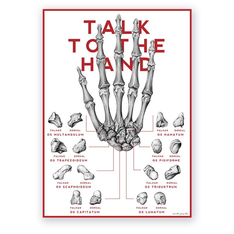 Plakat Anatomiczny - Kości Ręki - Talk To The Hand