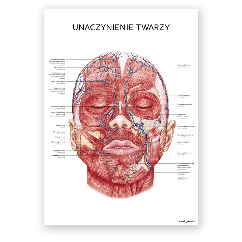 Plakat Unaczynienie Twarzy - obrazek 1
